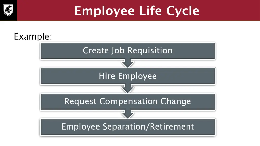 employee life cycle