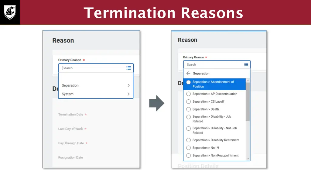 termination reasons