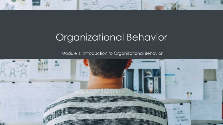 organizational behavior