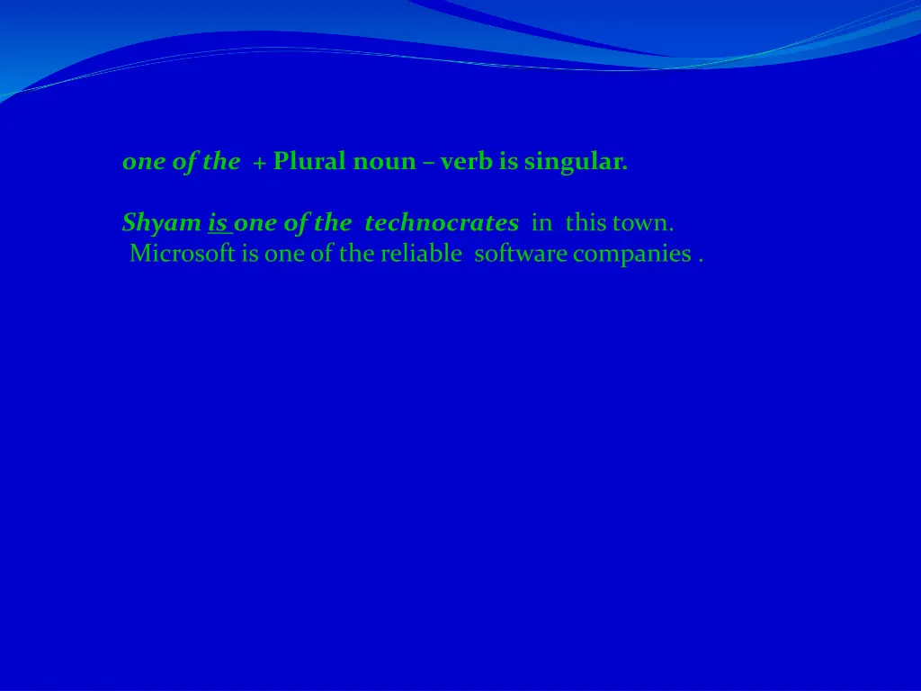 one of the plural noun verb is singular