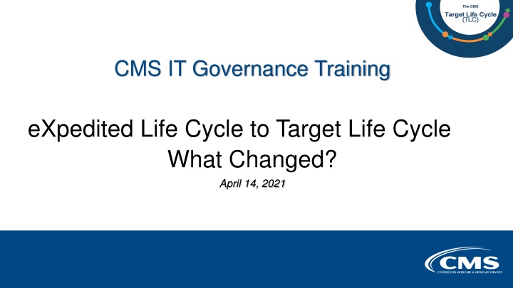 cms it governance training