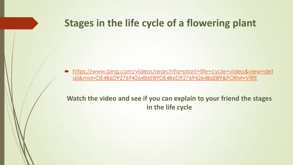 stages in the life cycle of a flowering plant