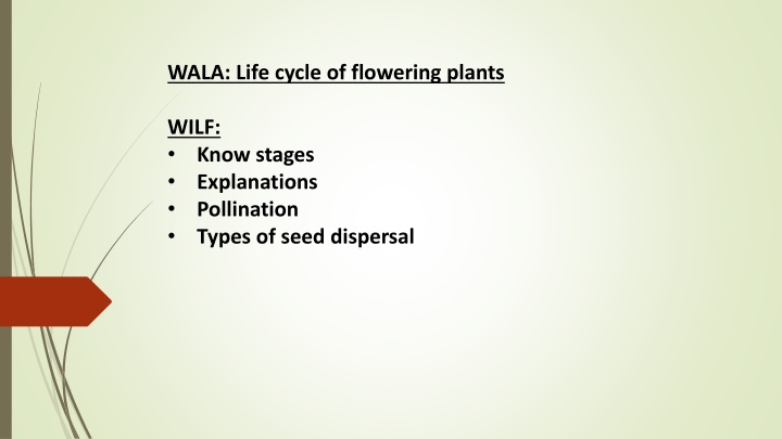 wala life cycle of flowering plants