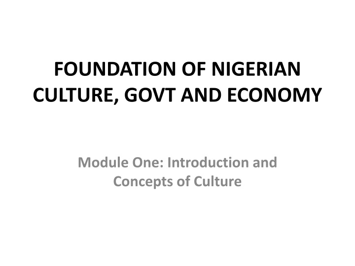 foundation of nigerian culture govt and economy