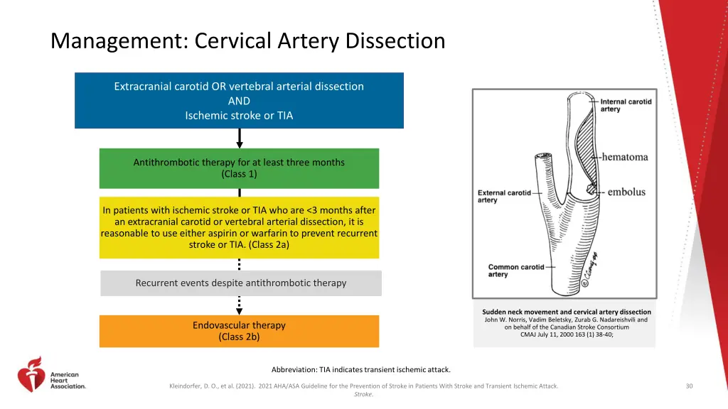 management cervical artery dissection