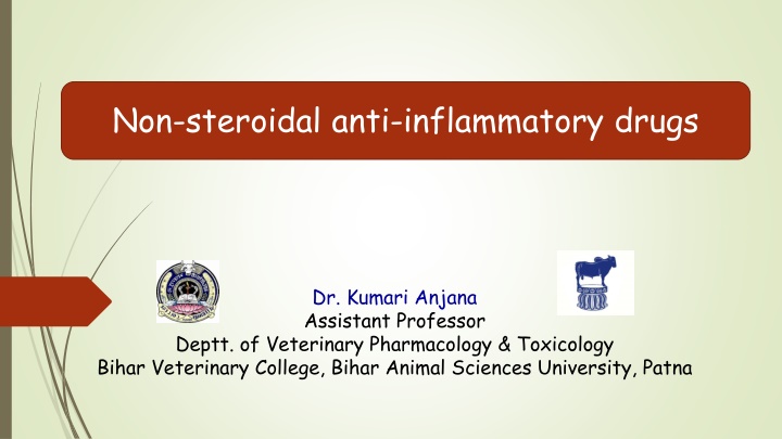 non steroidal anti inflammatory drugs