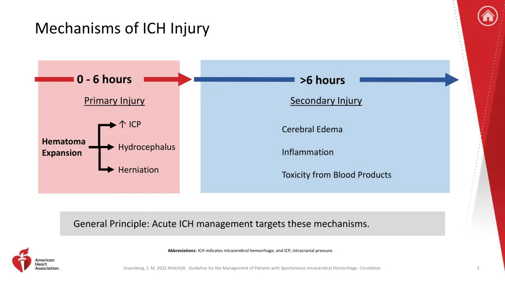 mechanisms of ich injury