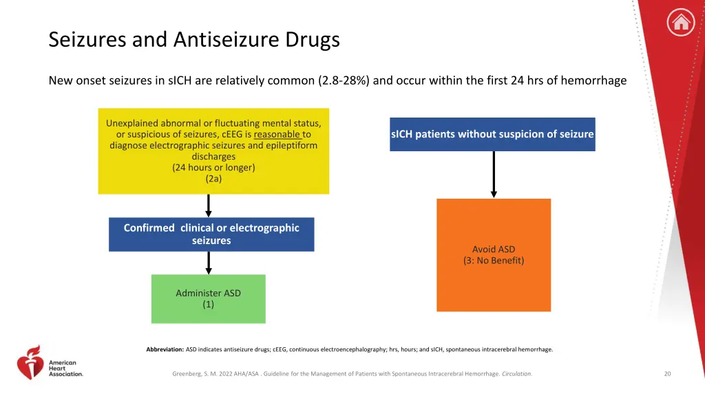 seizures and antiseizure drugs