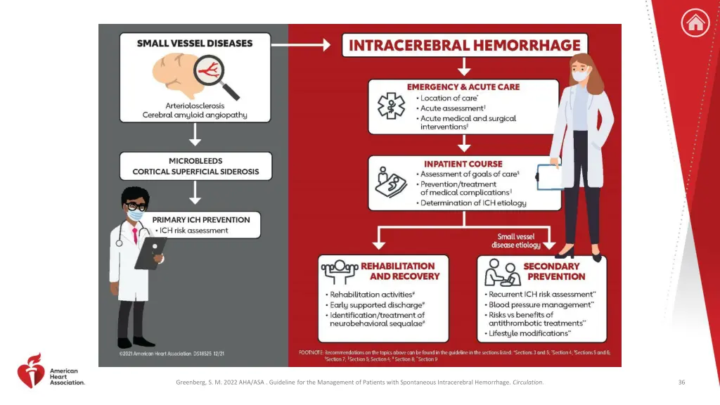 small vessel diseases figure