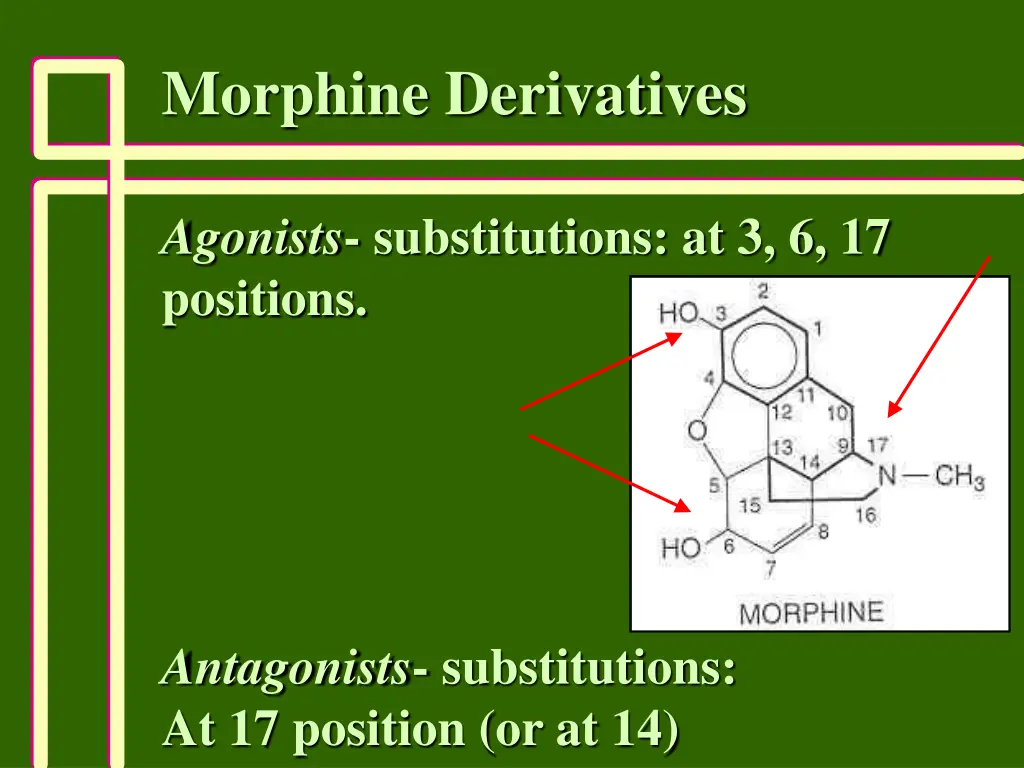 morphine derivatives