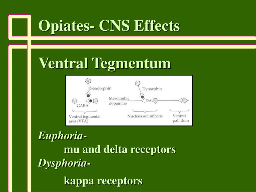 opiates cns effects 1