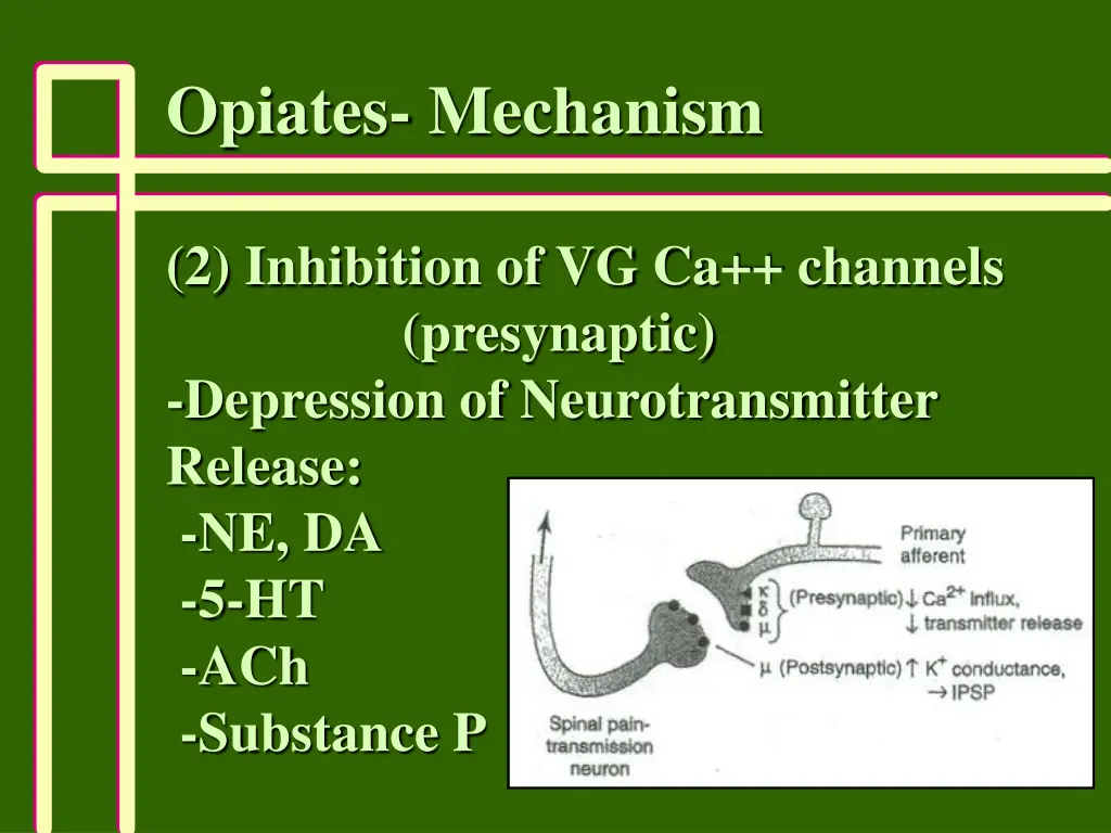 opiates mechanism