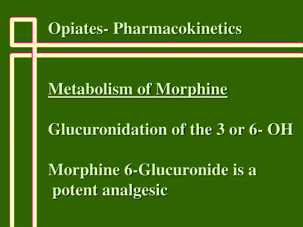 opiates pharmacokinetics 2