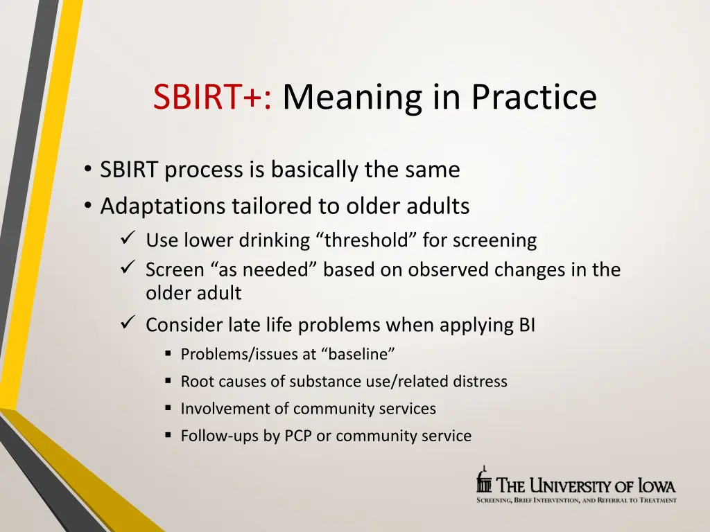 sbirt meaning in practice