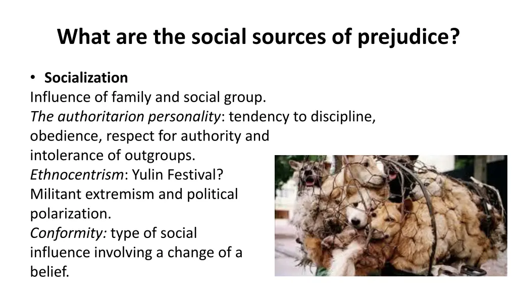 what are the social sources of prejudice 1