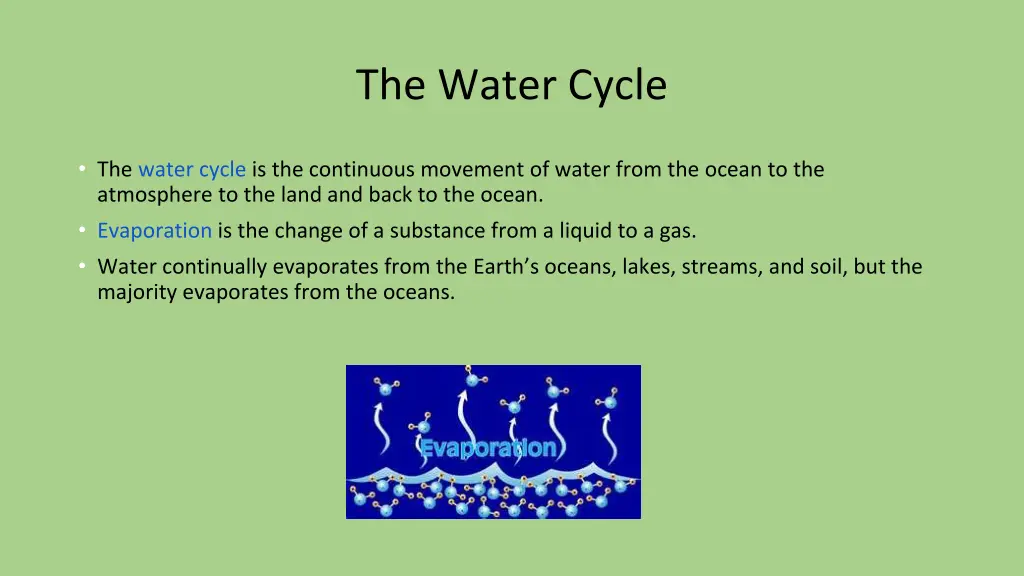 the water cycle