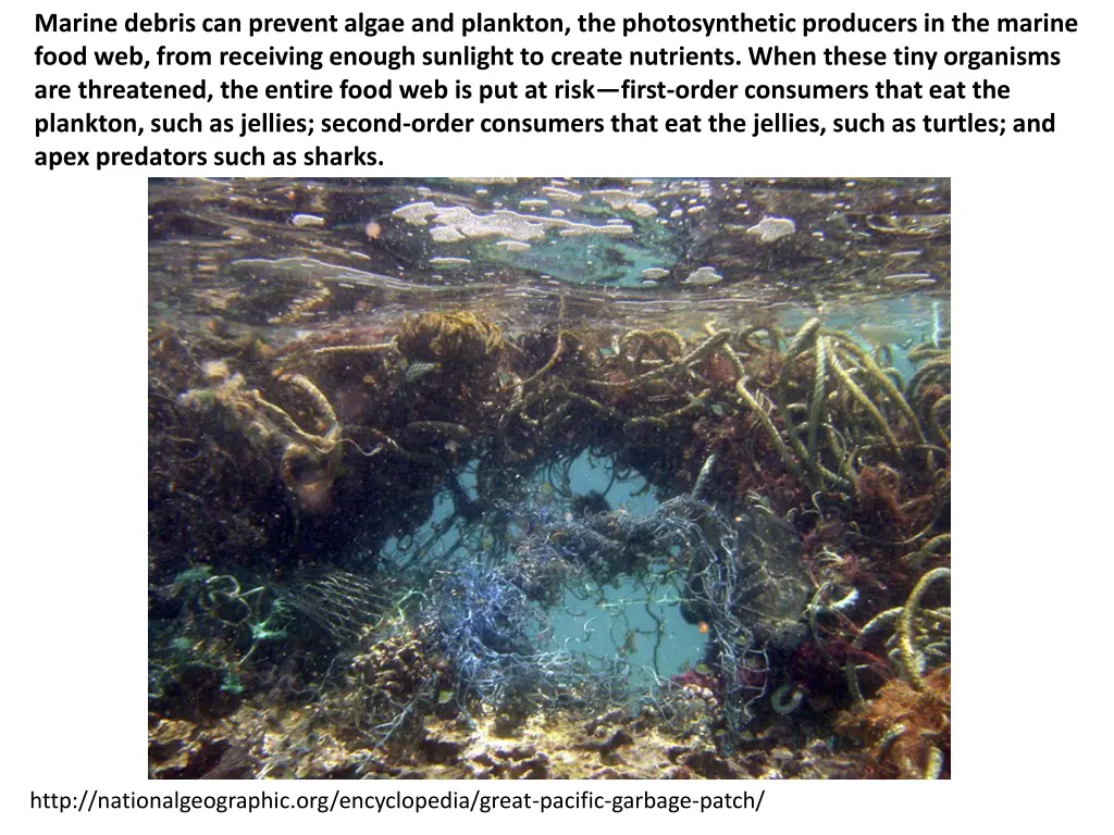 marine debris can prevent algae and plankton