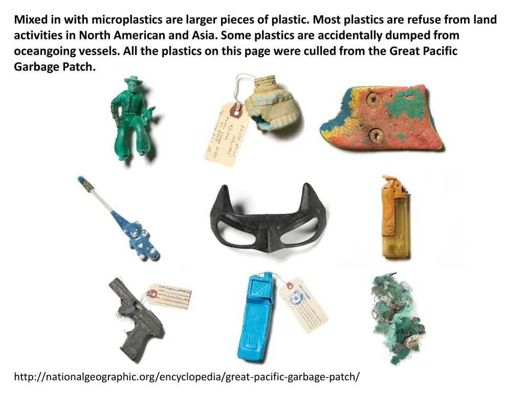 mixed in with microplastics are larger pieces