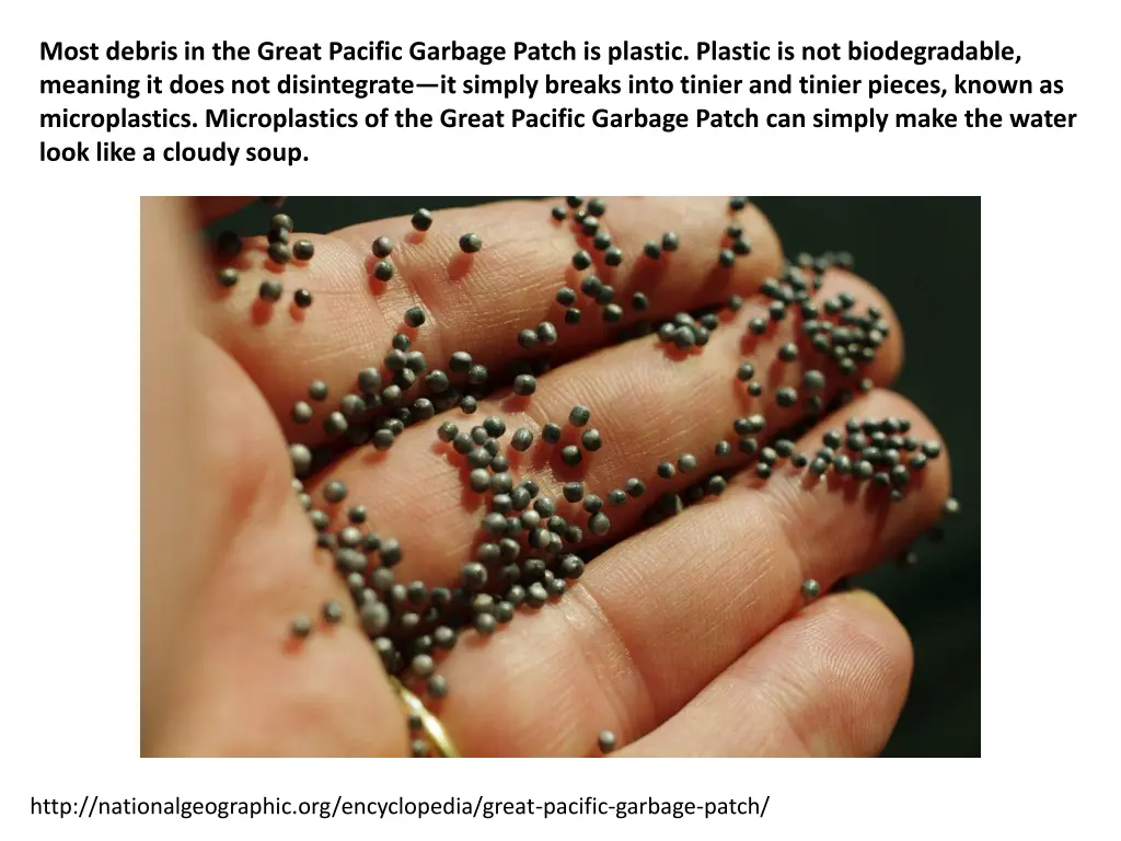 most debris in the great pacific garbage patch