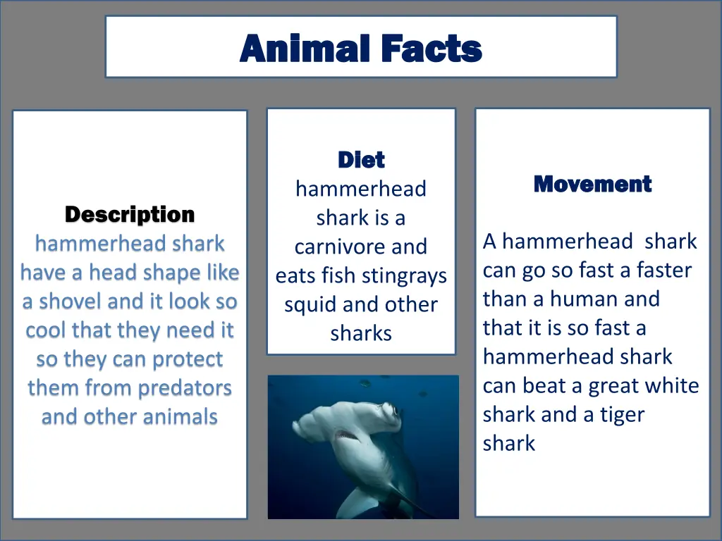 animal facts animal facts