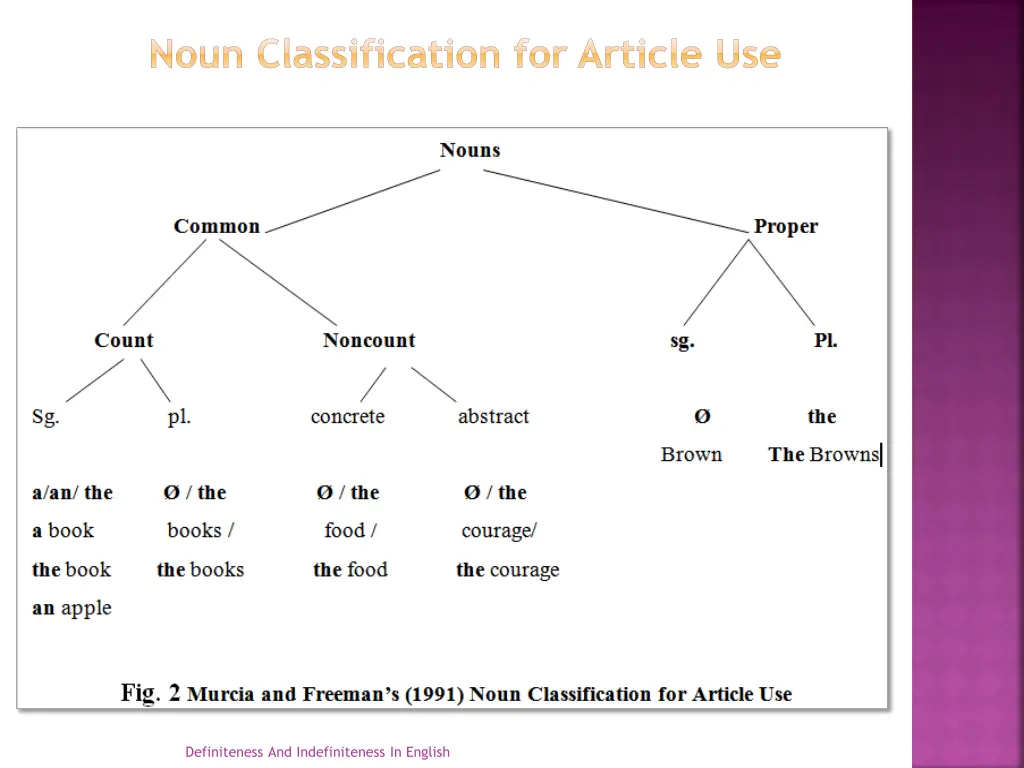 noun classification for article use