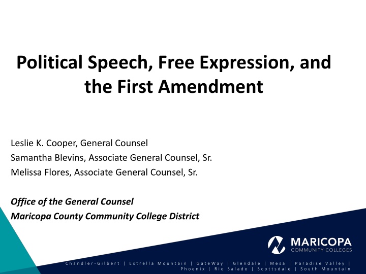 political speech free expression and the first