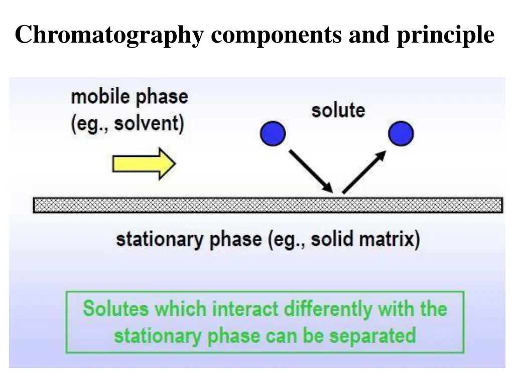 chromatography components and principle