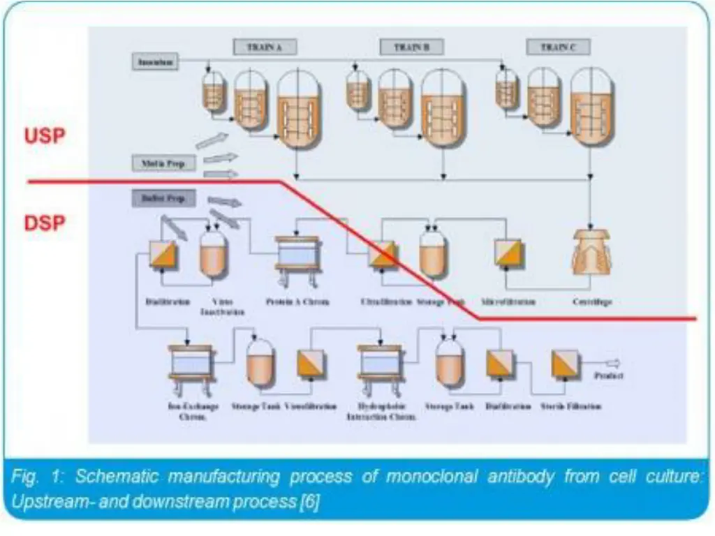 slide5