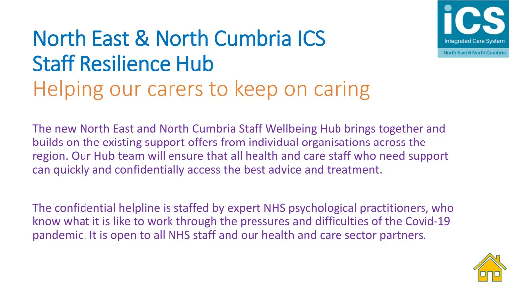 north east north cumbria ics north east north