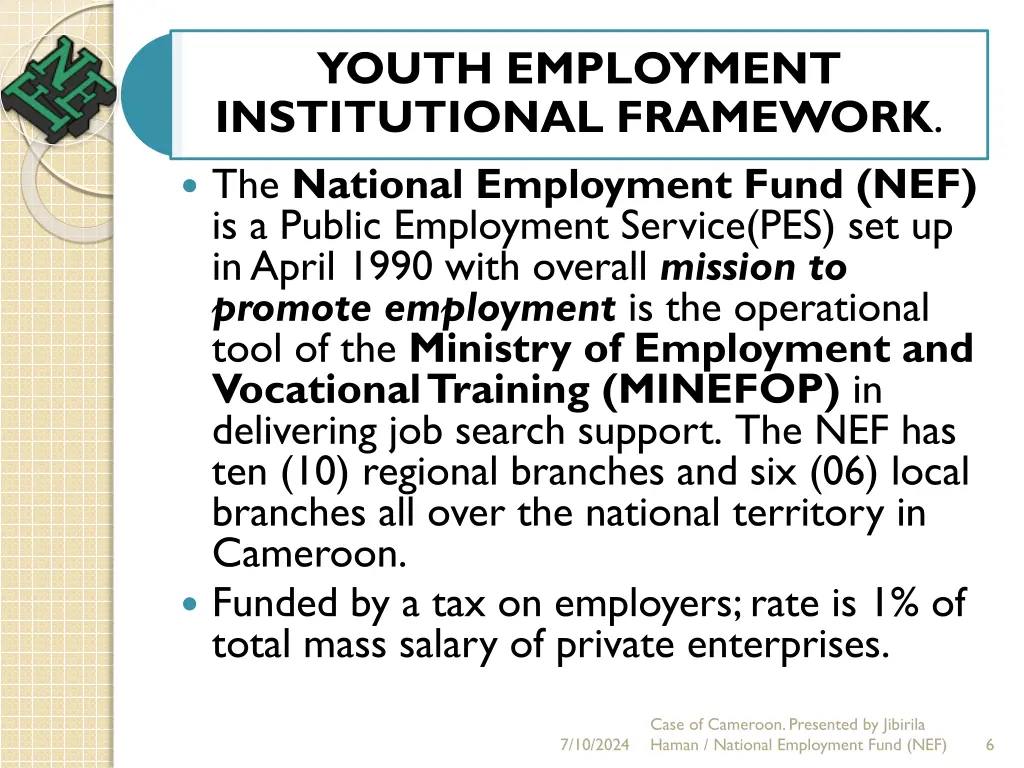 youth employment institutional framework 1