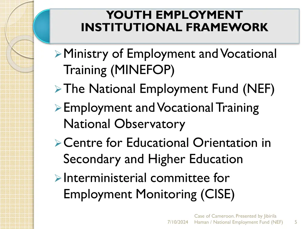 youth employment institutional framework