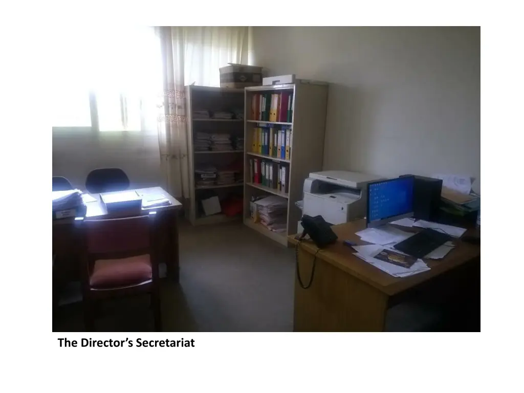 the director s secretariat