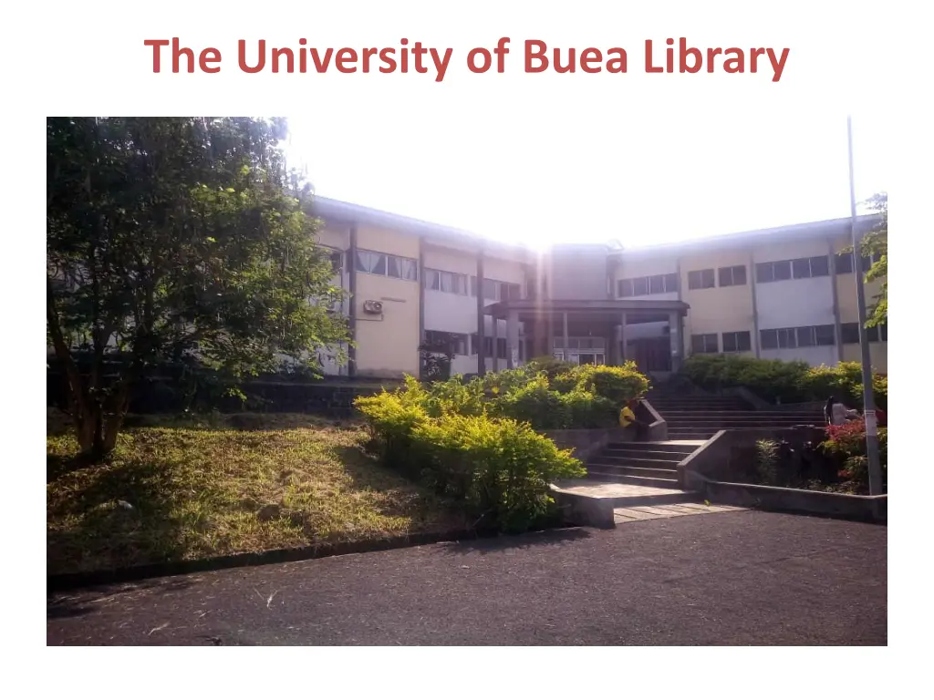 the university of buea library