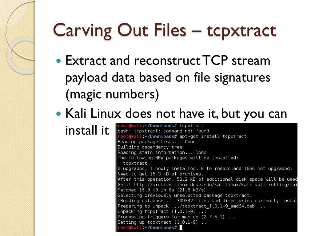 carving out files tcpxtract