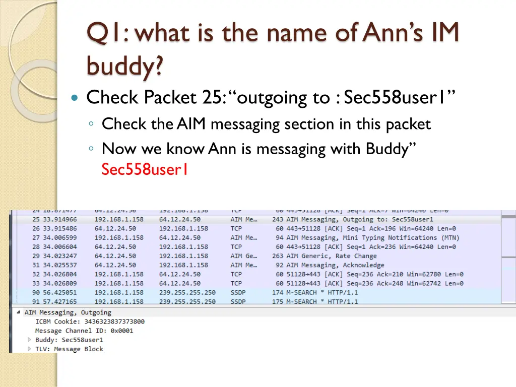 q1 what is the name of ann s im buddy check