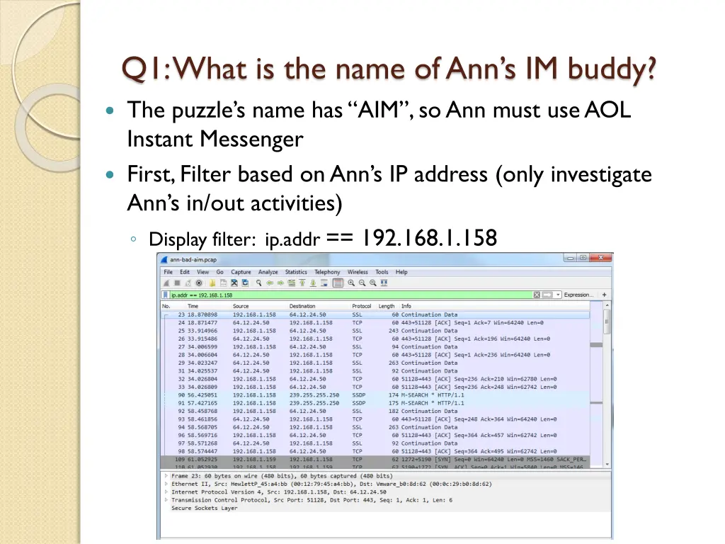 q1 what is the name of ann s im buddy the puzzle