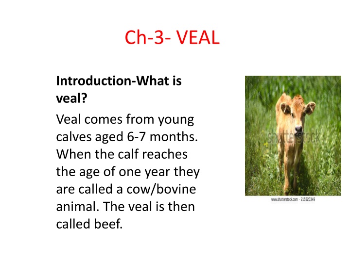 ch 3 veal