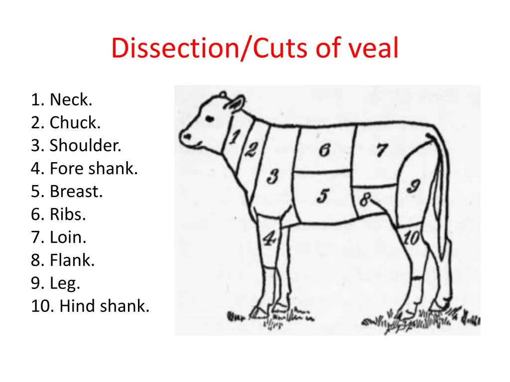 dissection cuts of veal