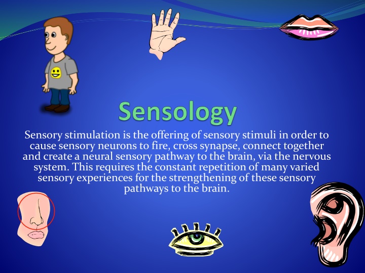 sensory stimulation is the offering of sensory