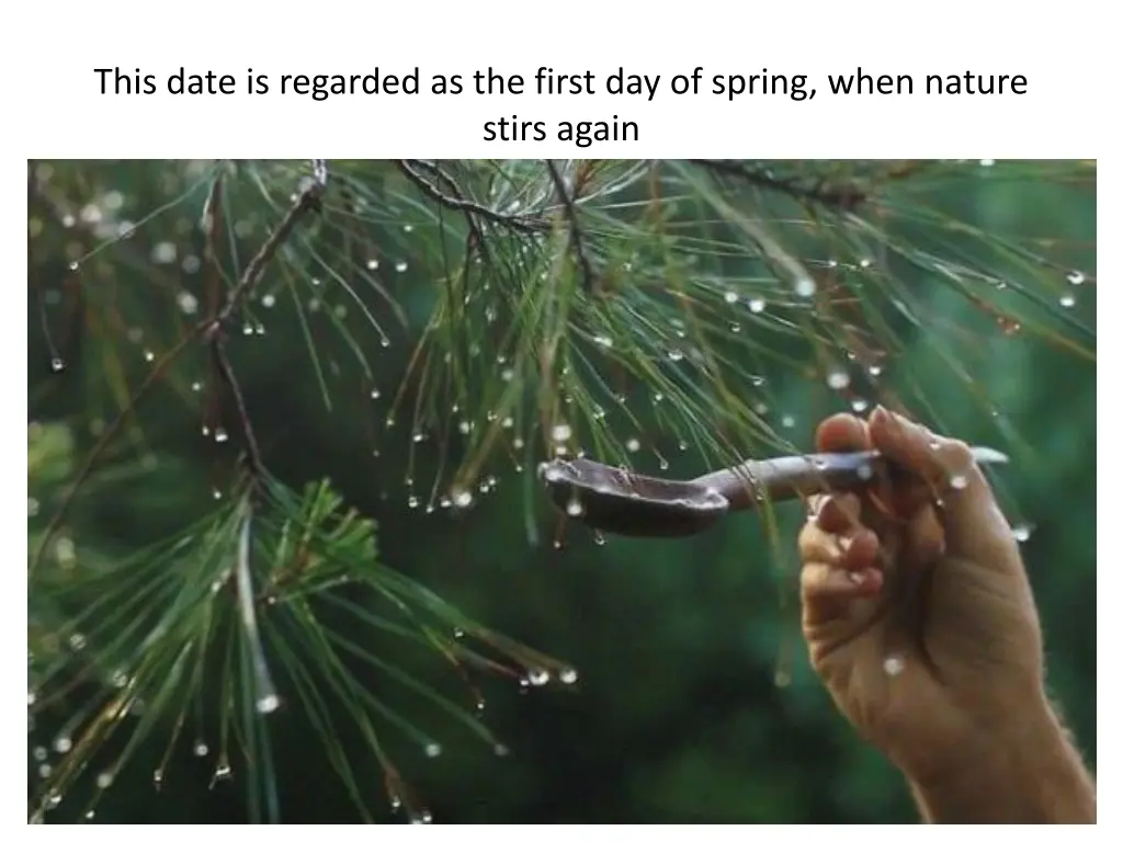 this date is regarded as the first day of spring