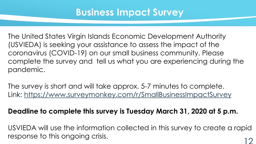 business impact survey