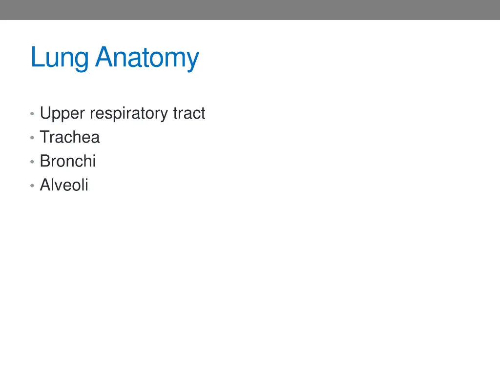 lung anatomy