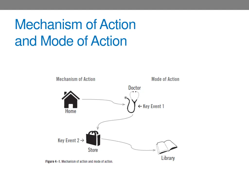 mechanism of action and mode of action