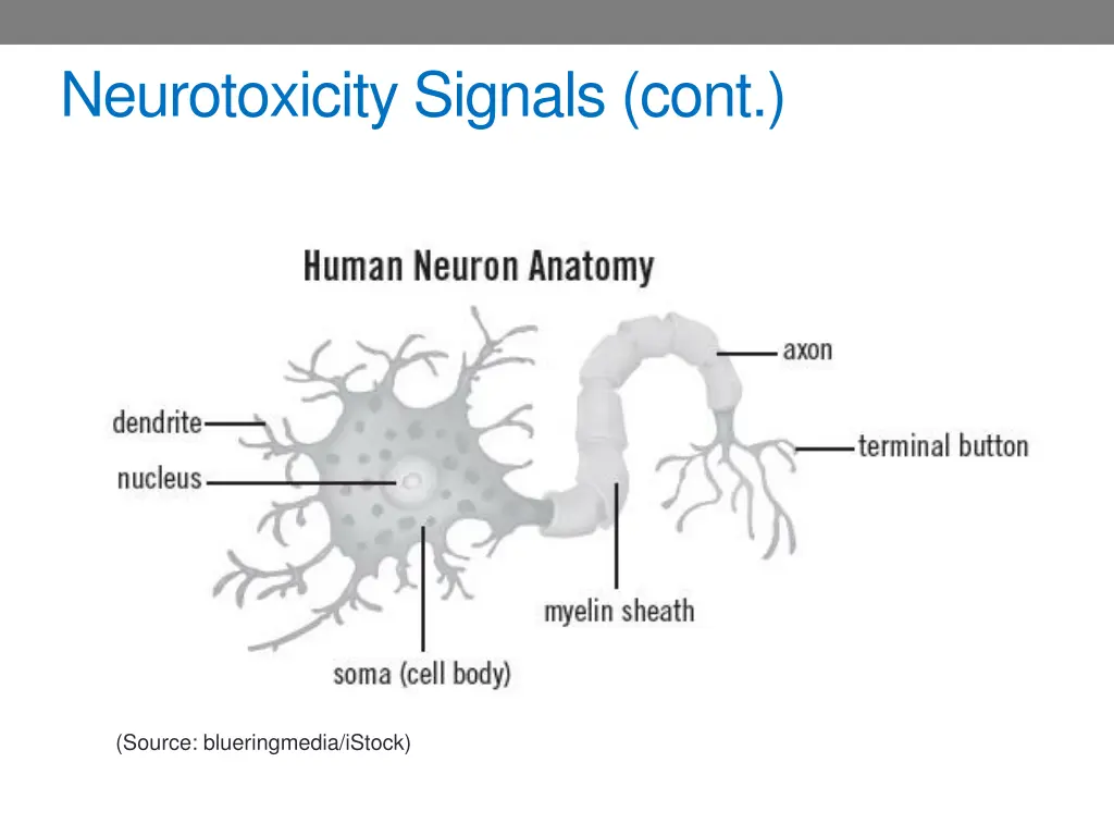 neurotoxicity signals cont