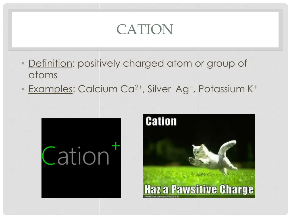 cation