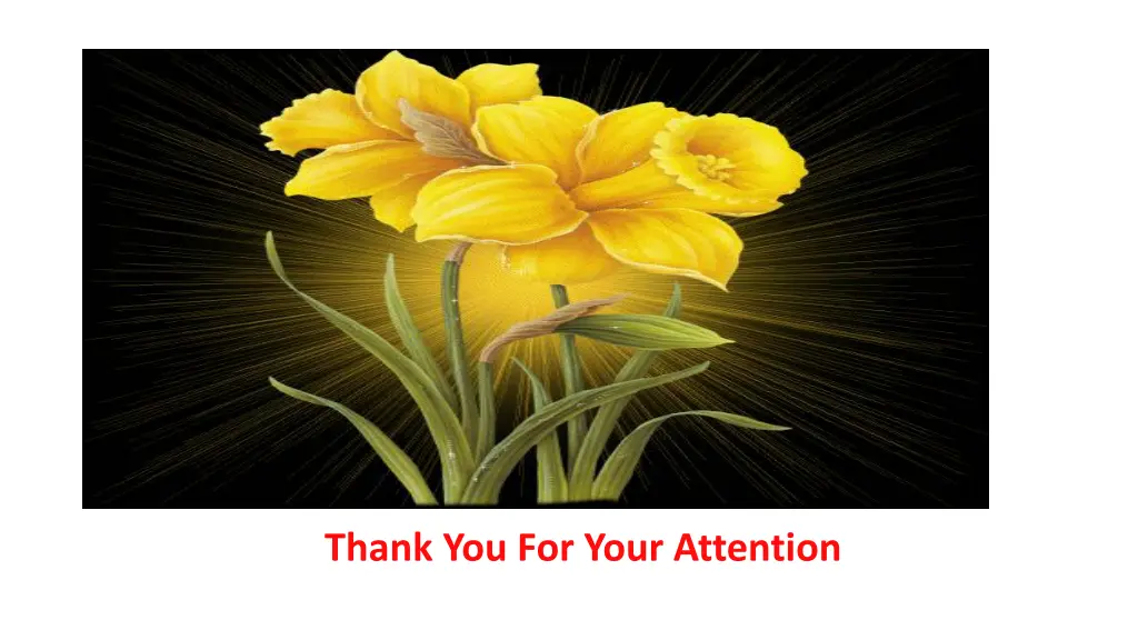 thank you for your attention