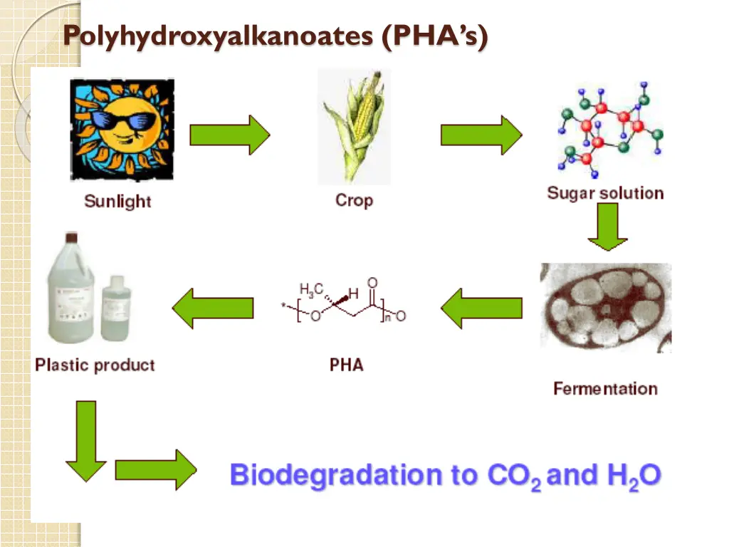 polyhydroxyalkanoates pha s