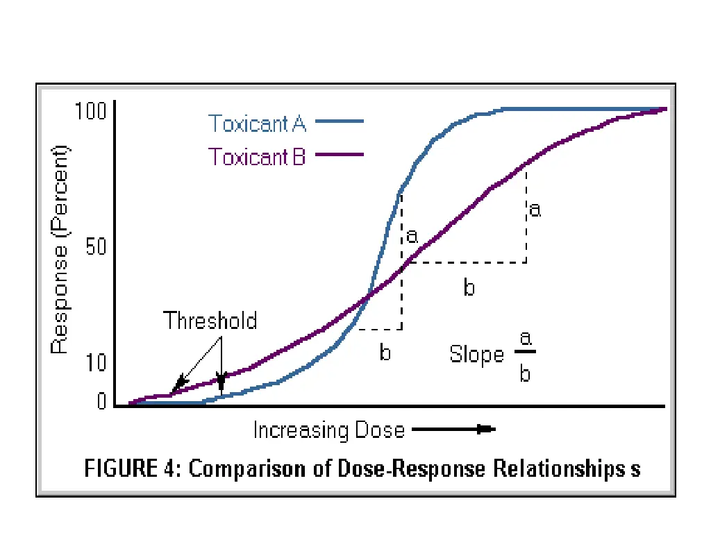 slide19