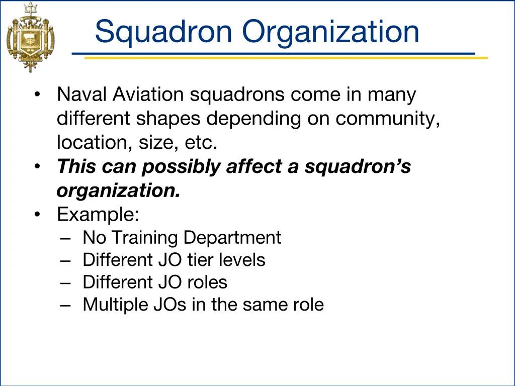 squadron organization 1