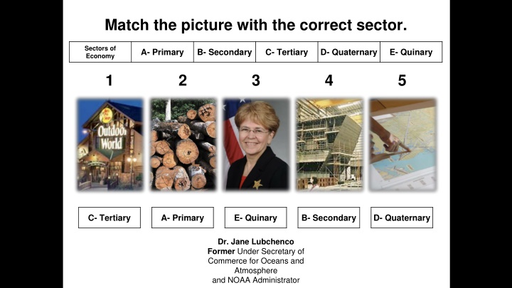 match the picture with the correct sector